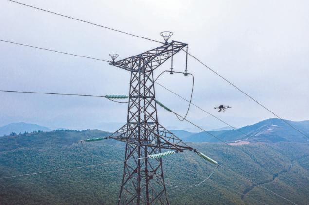 3月15日，湖州供電公司員工對特高壓密集通道開展無人機(jī)自主巡檢。顧偉 攝